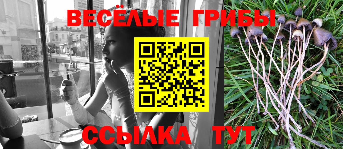 Псилоцибиновые грибы MAGIC MUSHROOMS Лыткарино